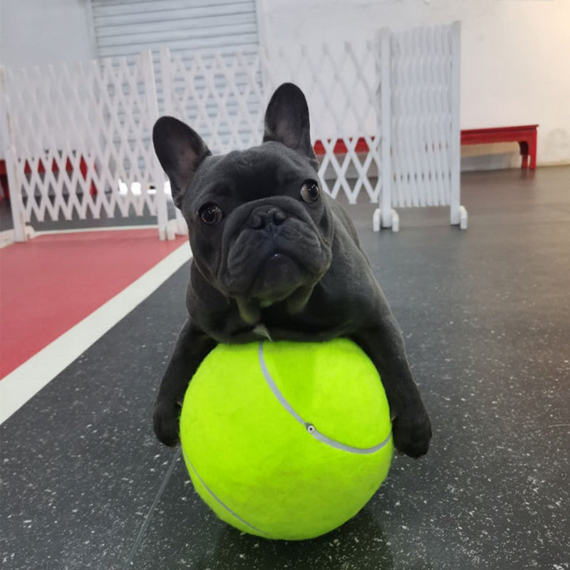 Tênis Ball - A gigante bola para cães