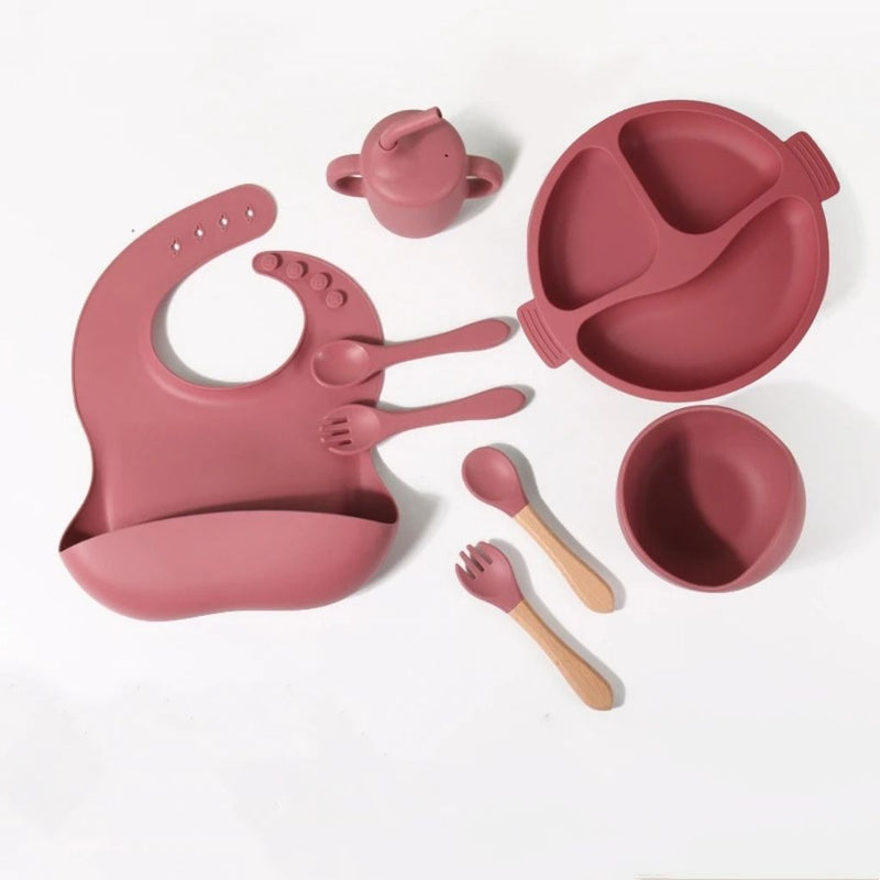 Kit Alimentação Bebê Silicone - 6 Peças Com Ventosa